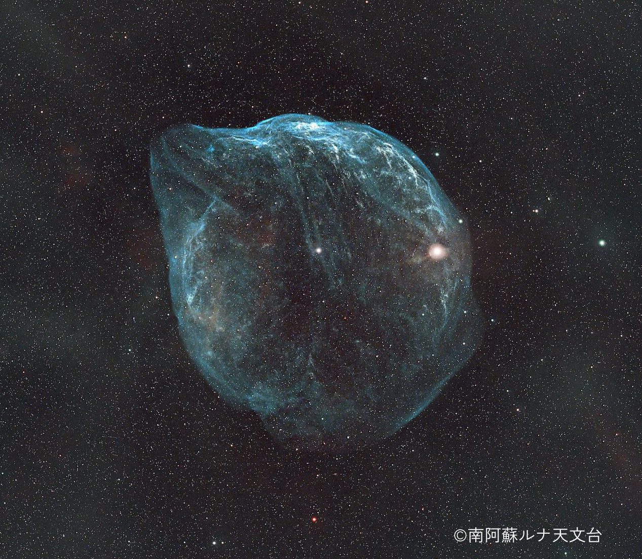 002ドルフィンヘッド